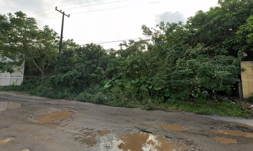 image-5