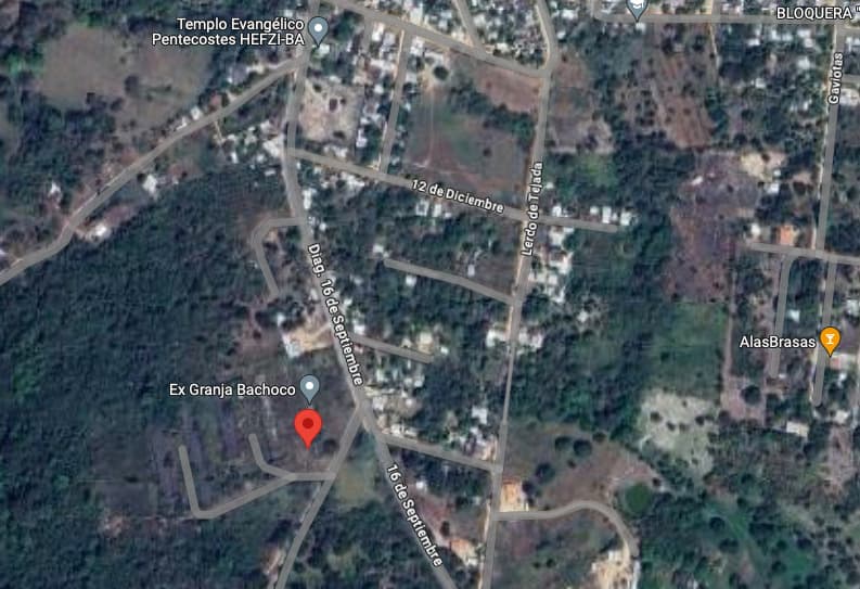 image-9