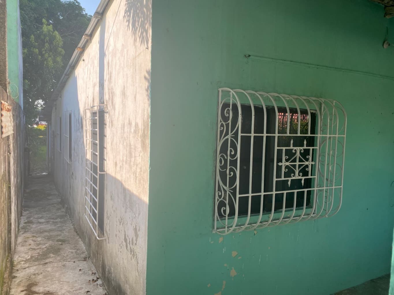 image-6