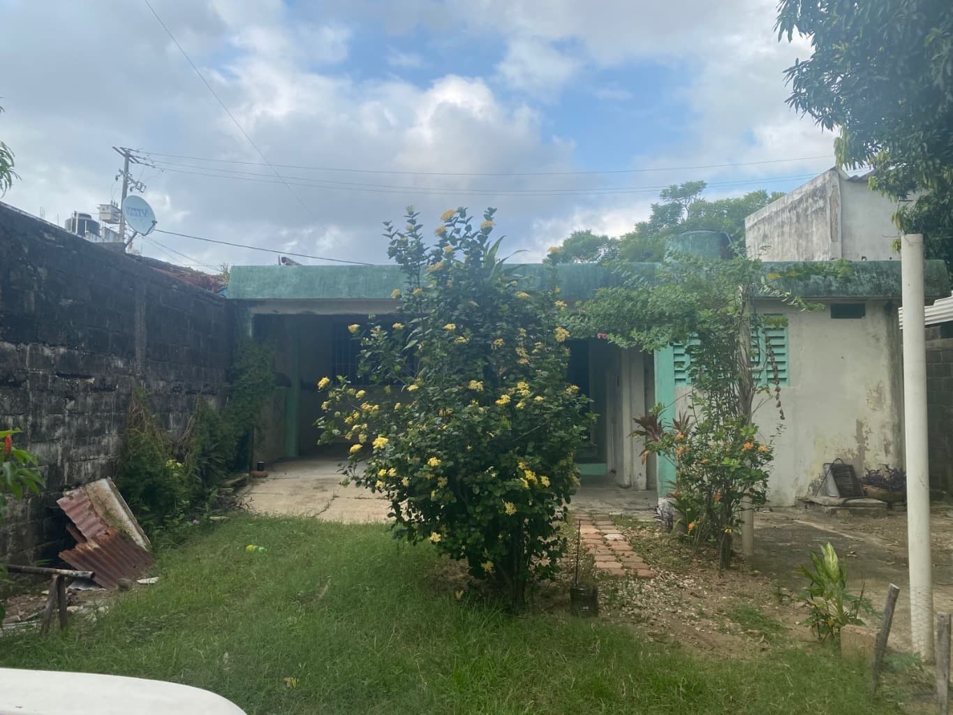 image-2