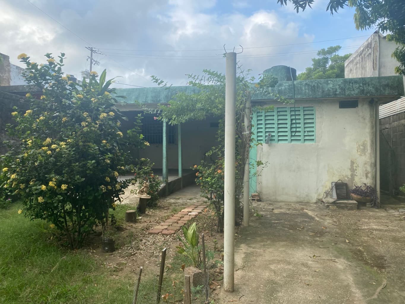 image-3