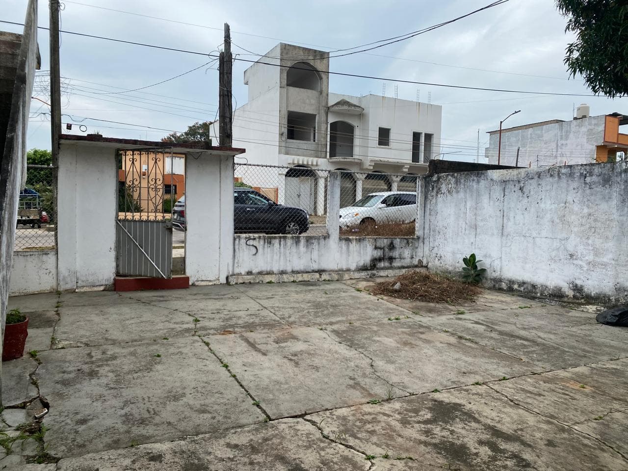 image-1