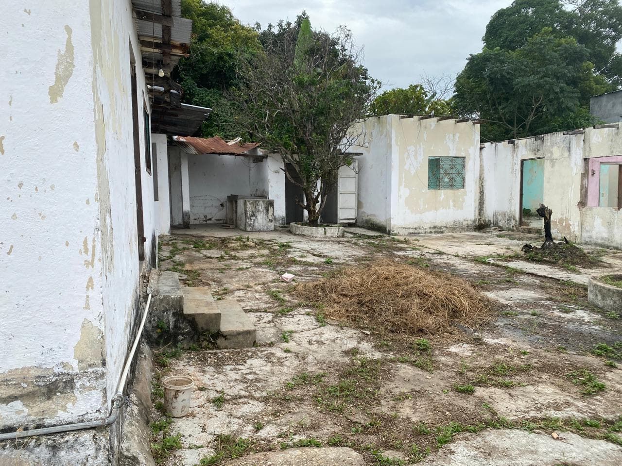 image-2