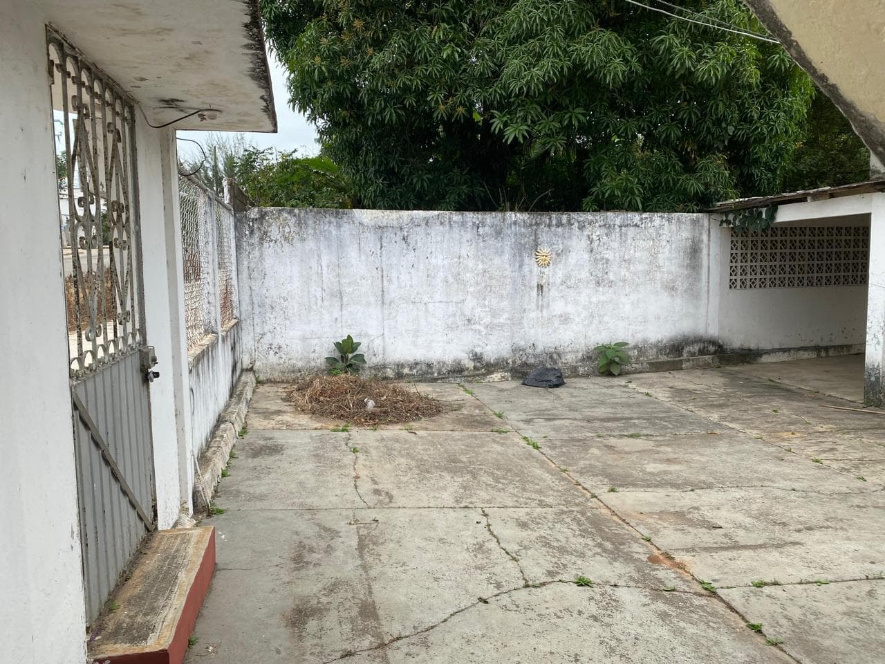 image-3
