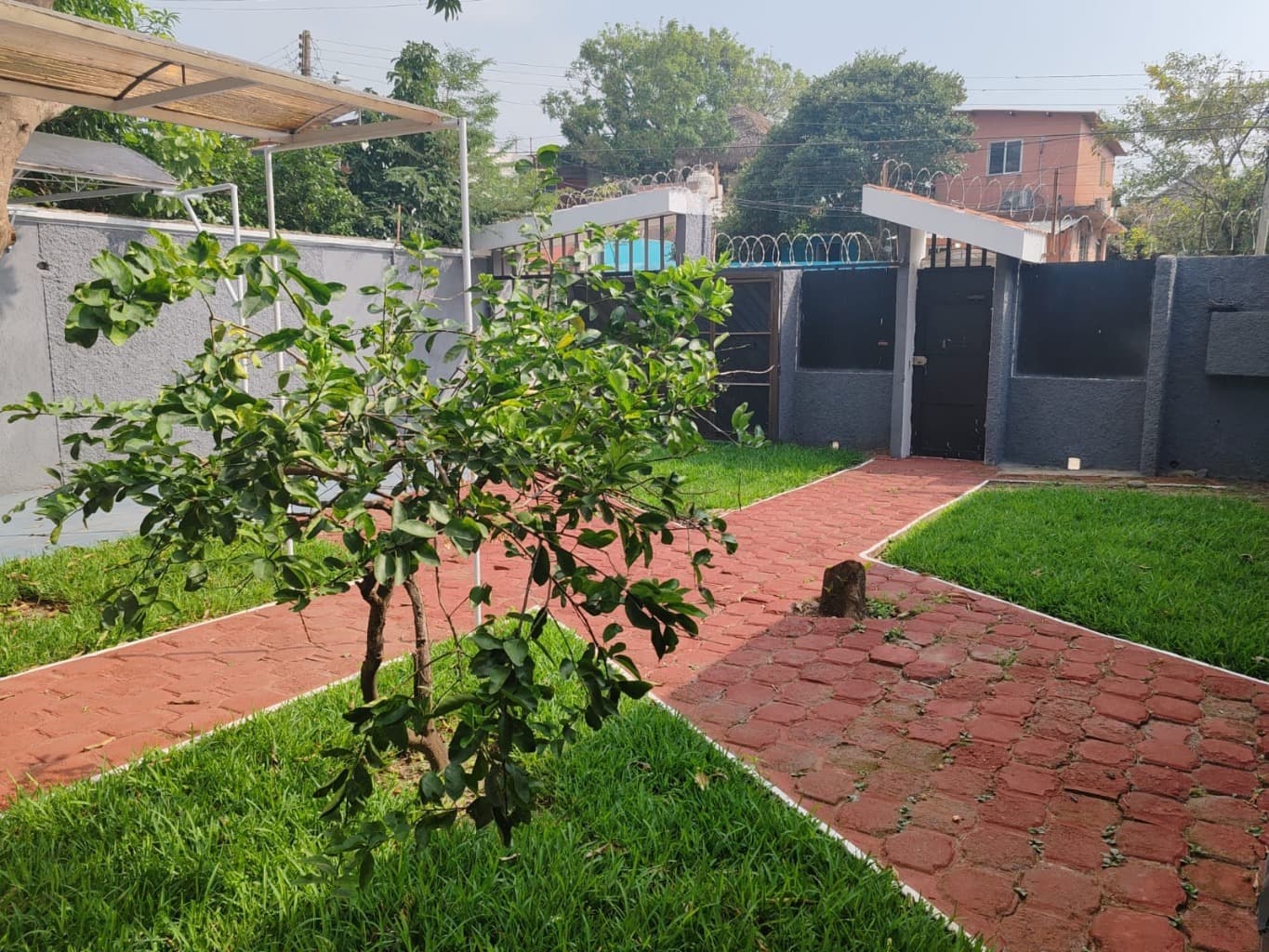 image-4
