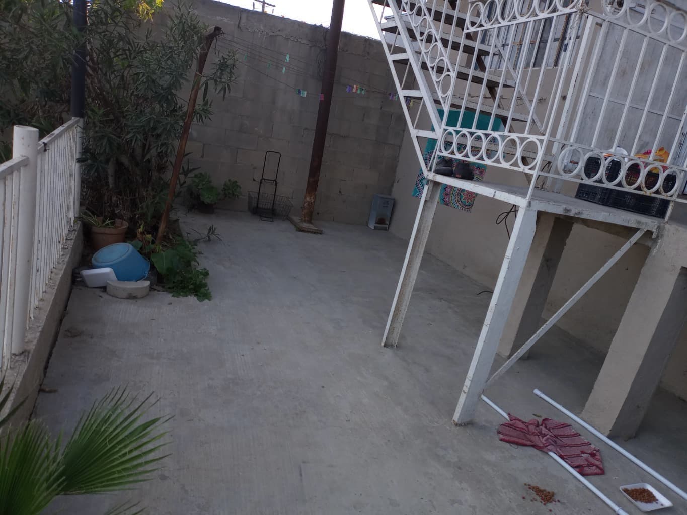 image-4