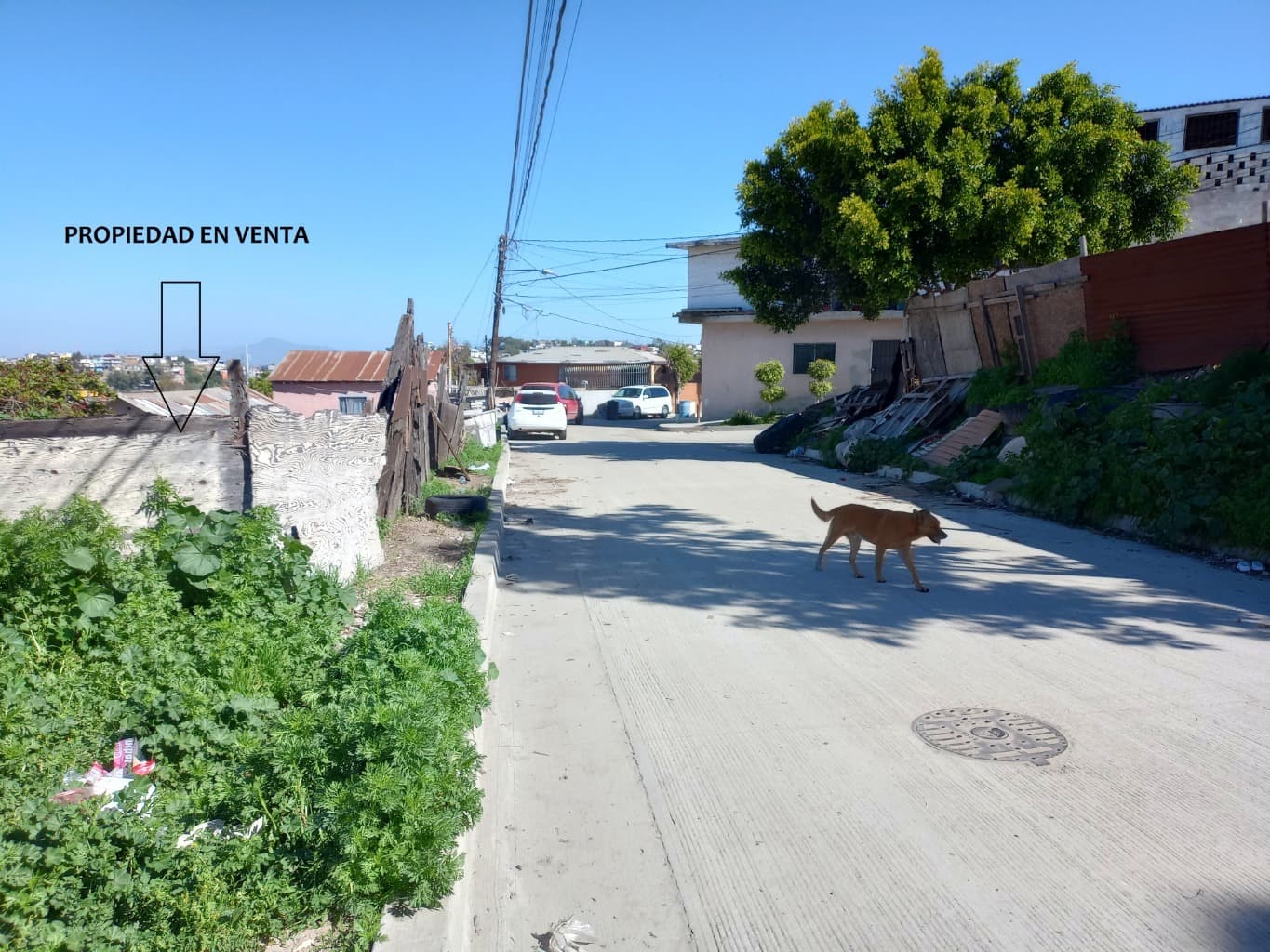 image-11