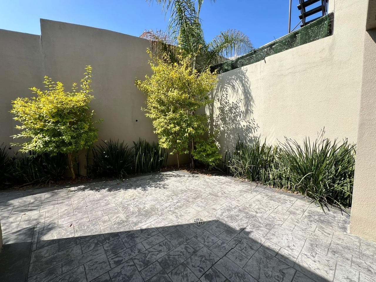 image-20