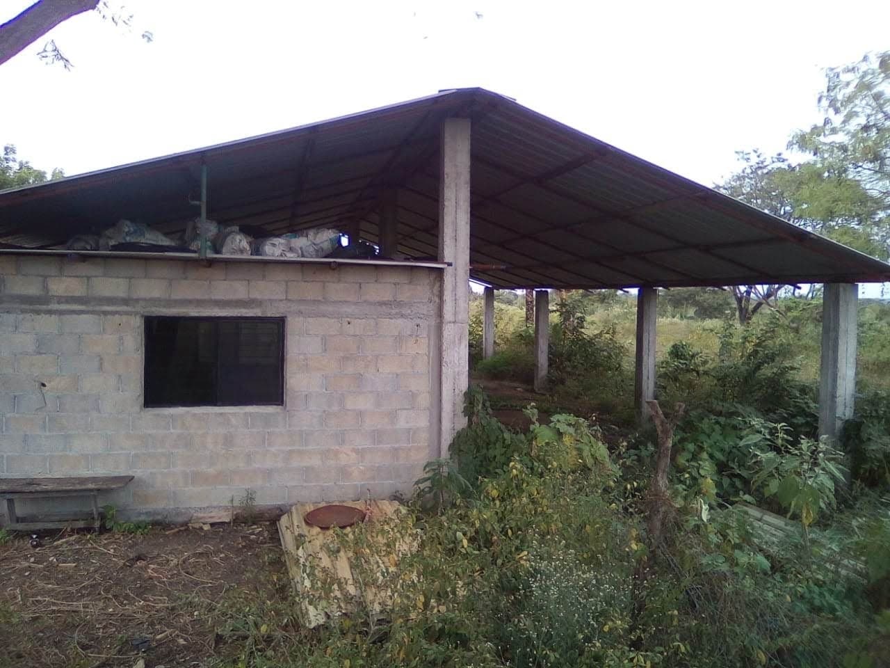 image-0