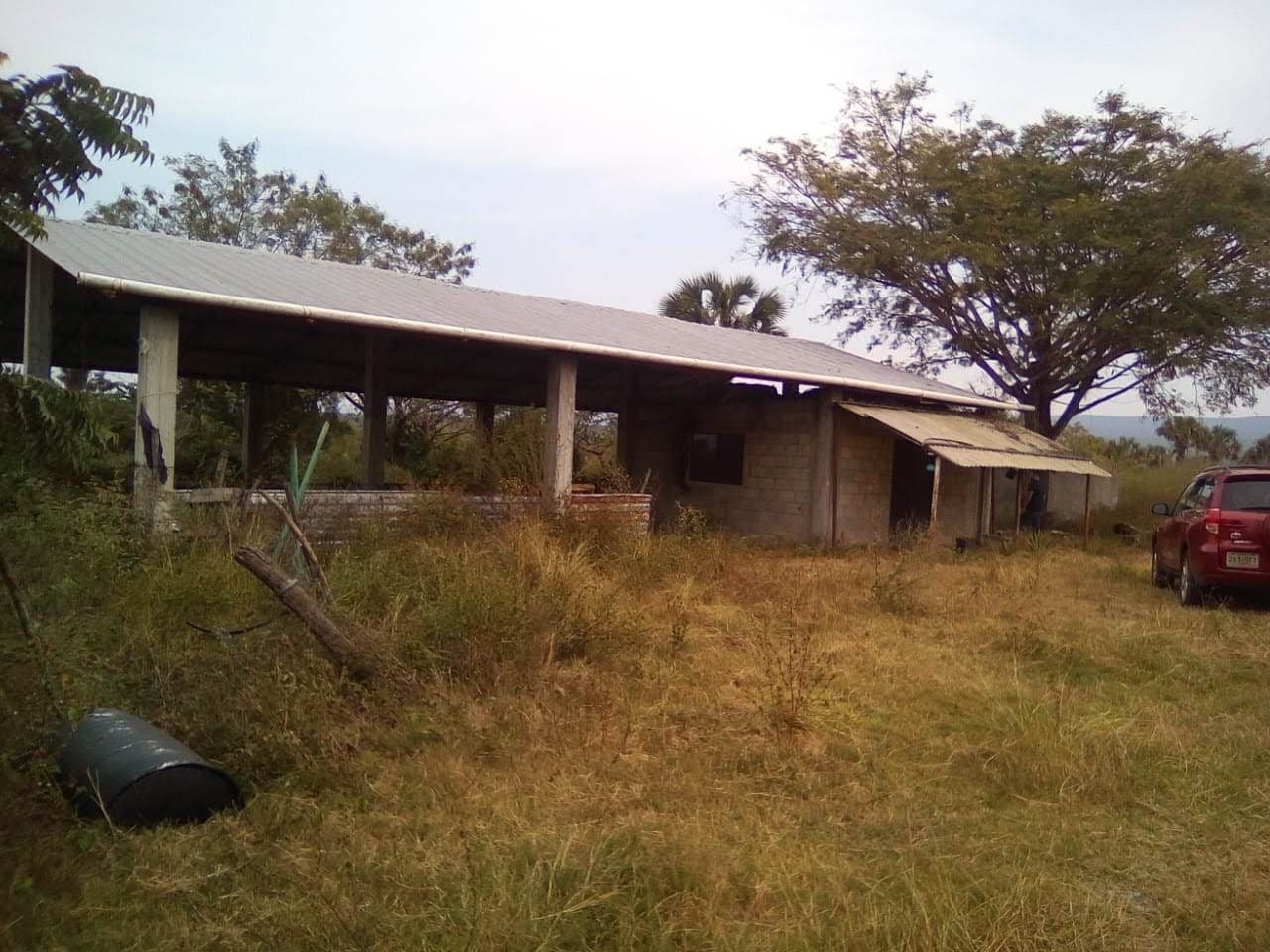 image-1