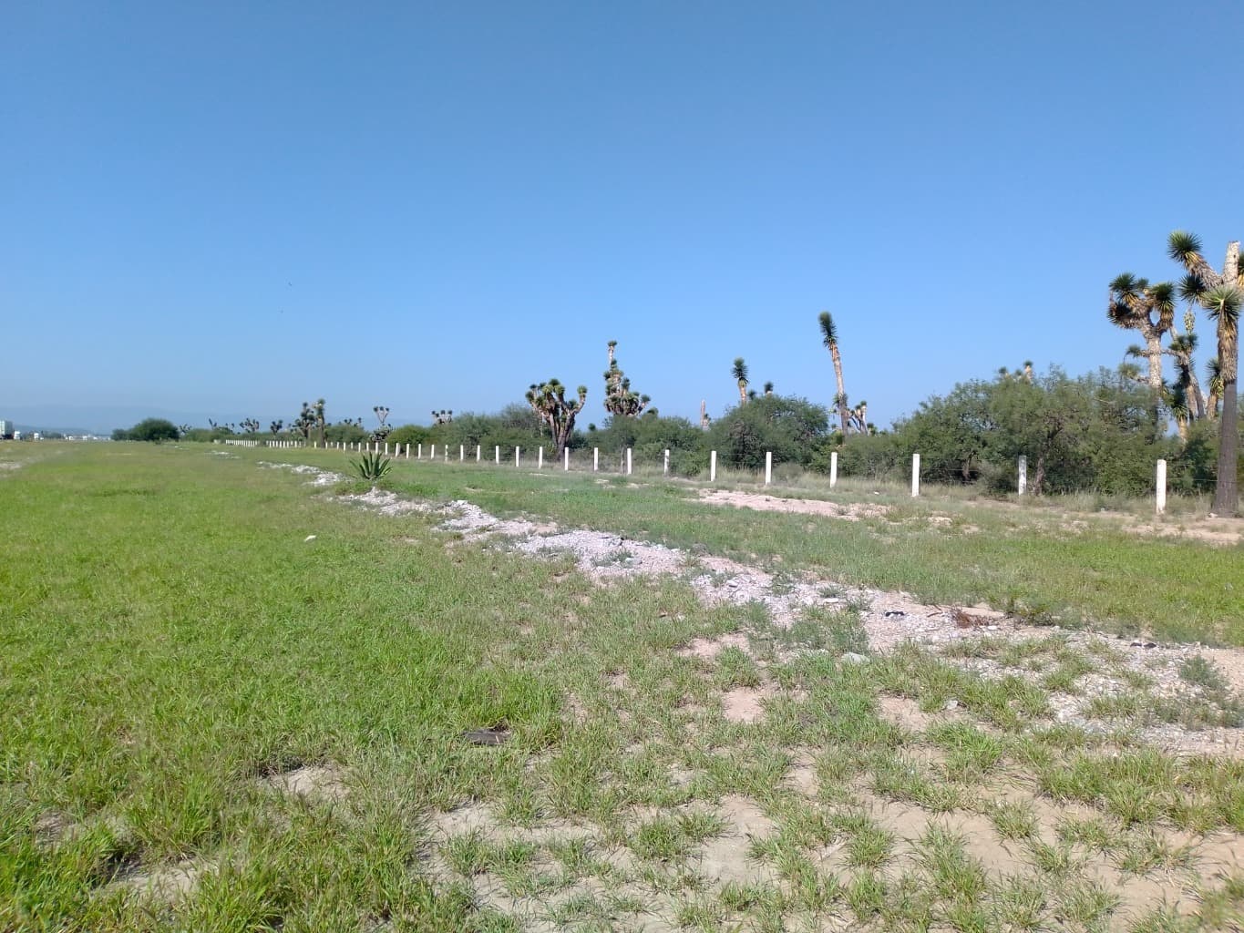 image-0