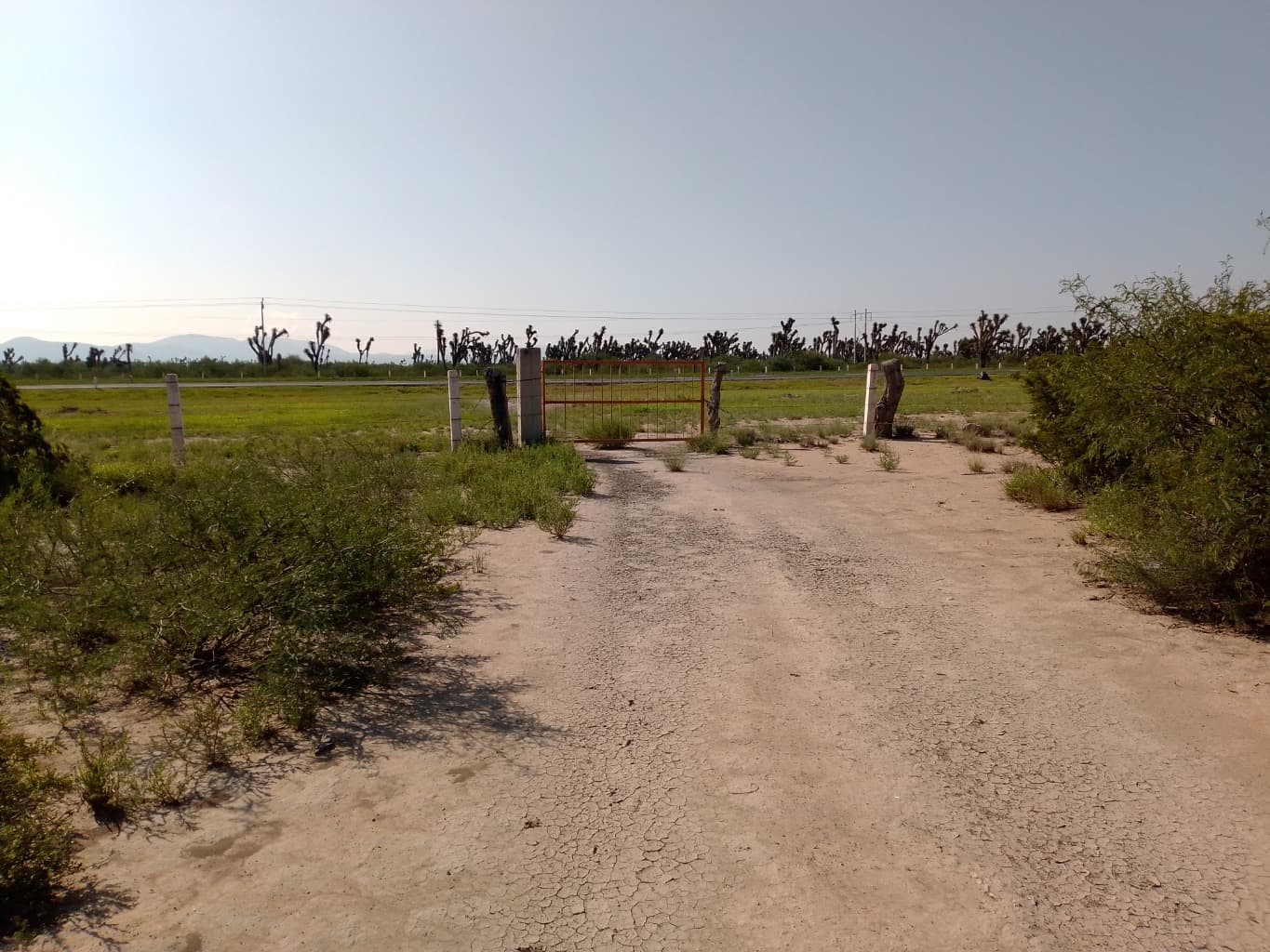 image-10