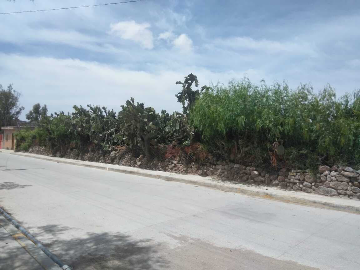 image-0