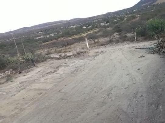 image-0