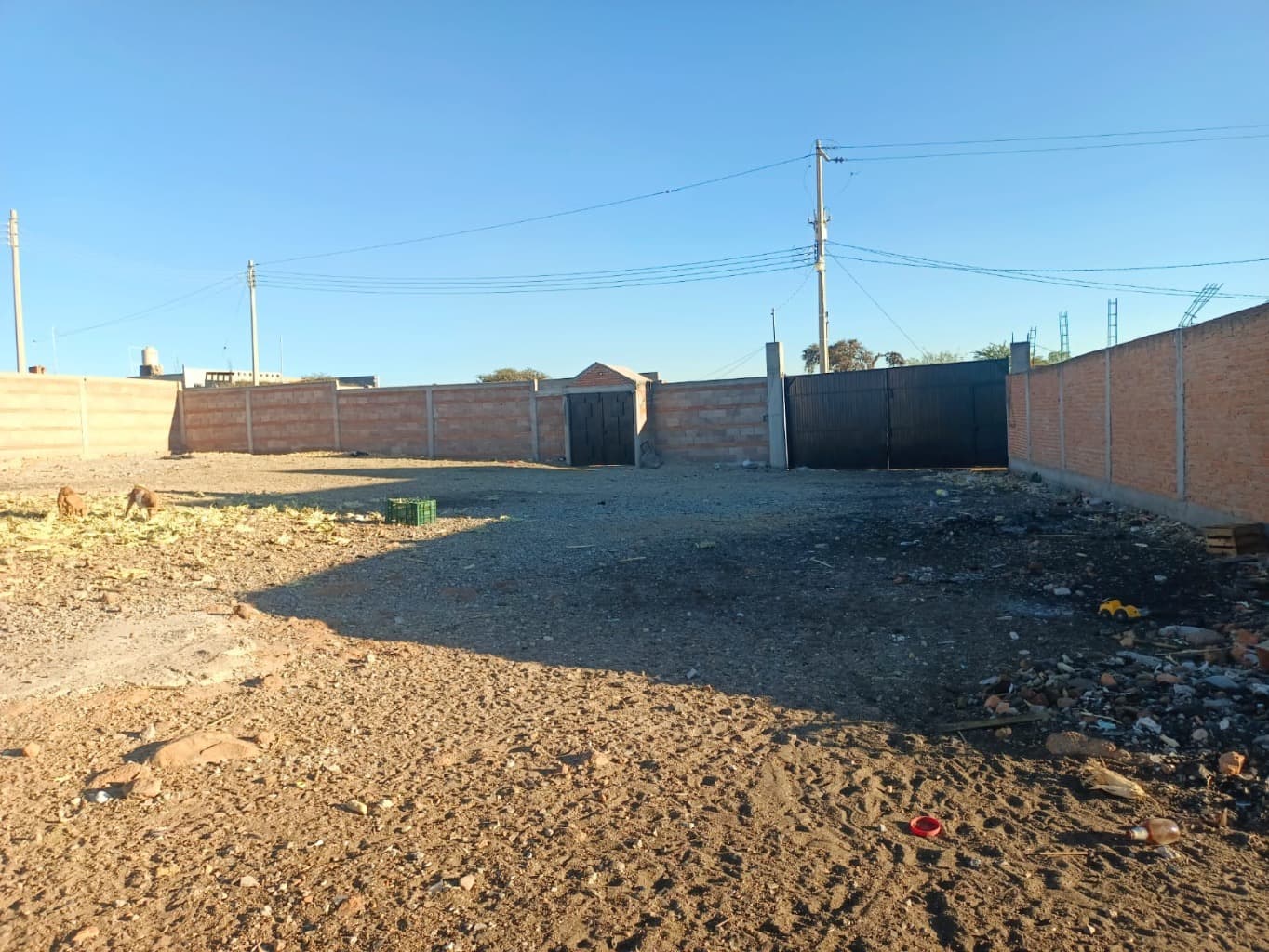 image-9