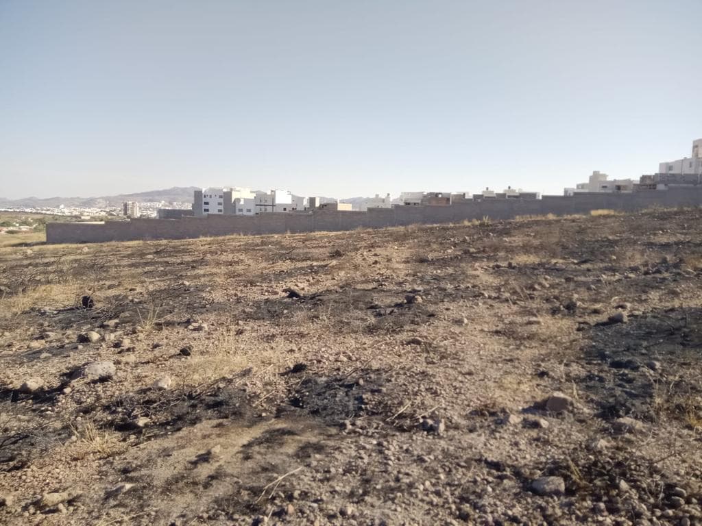 image-0