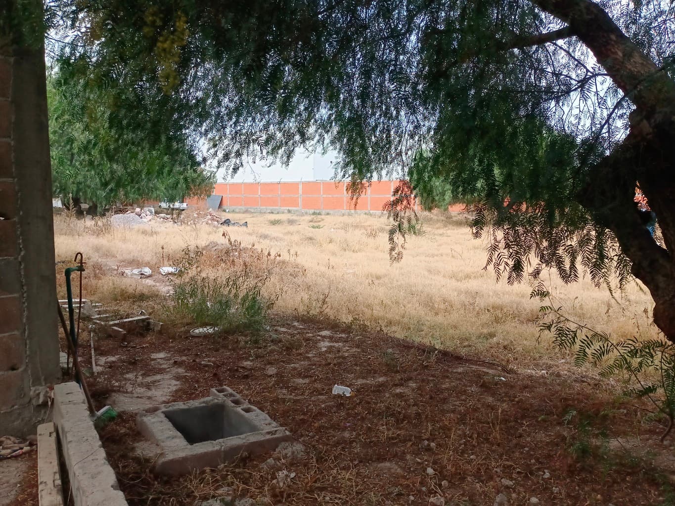 image-9