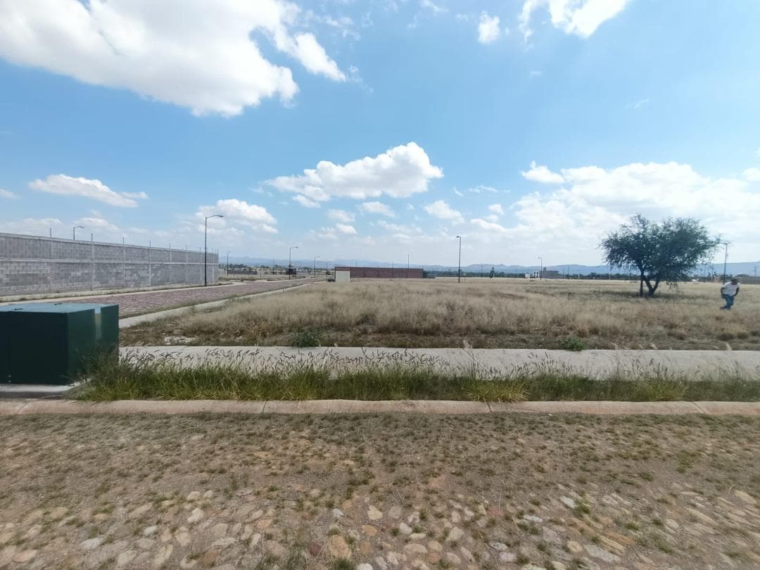 image-0