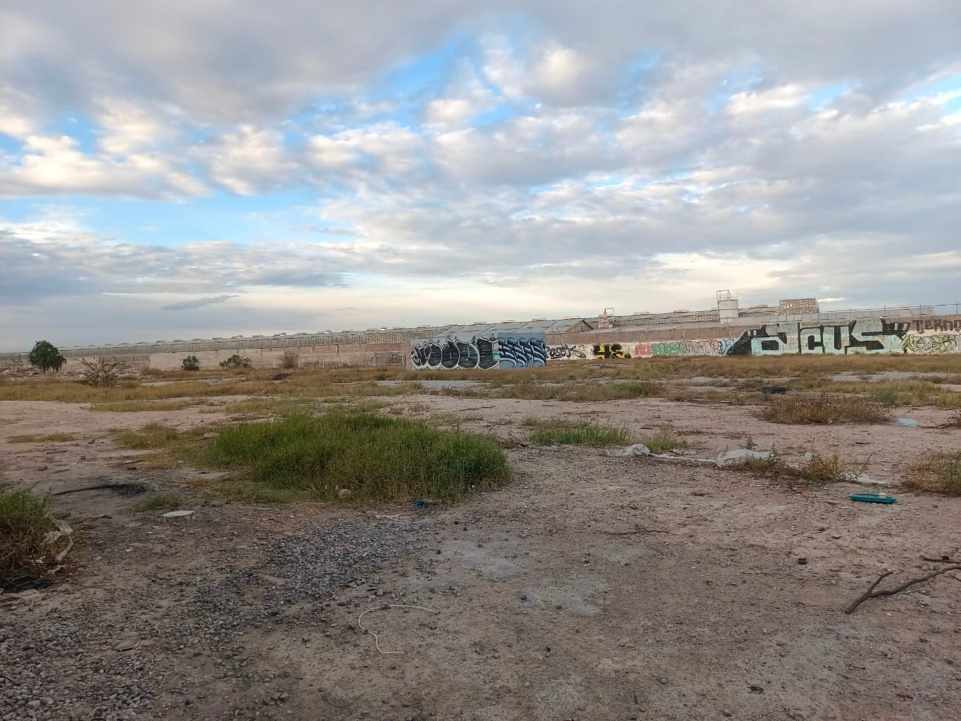 image-5