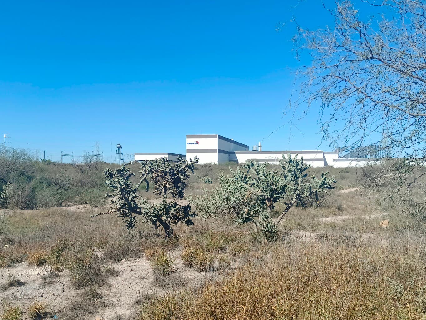 image-0