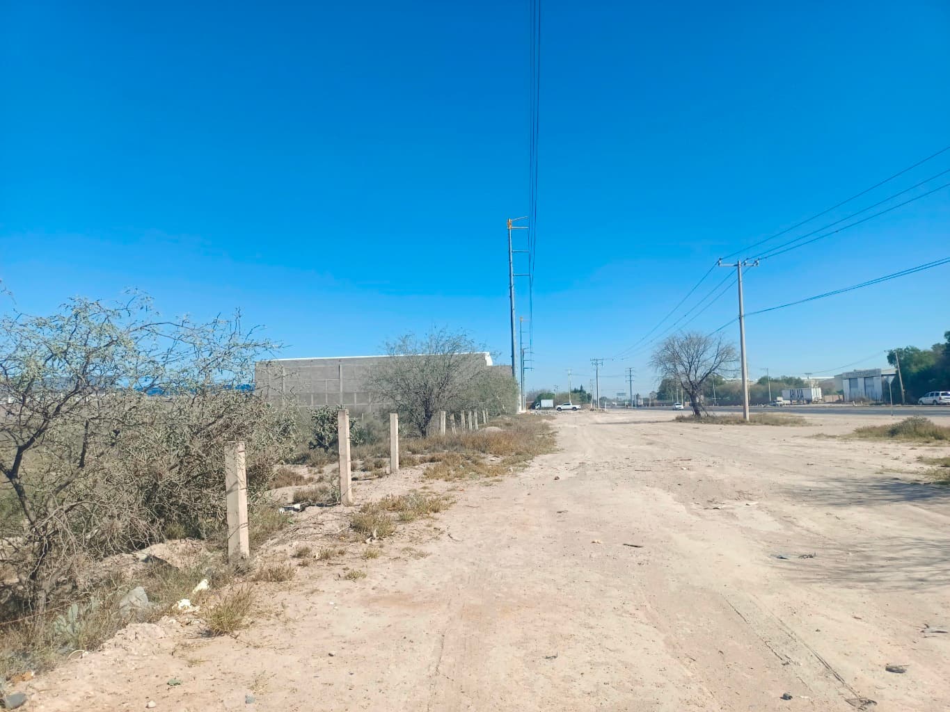 image-3