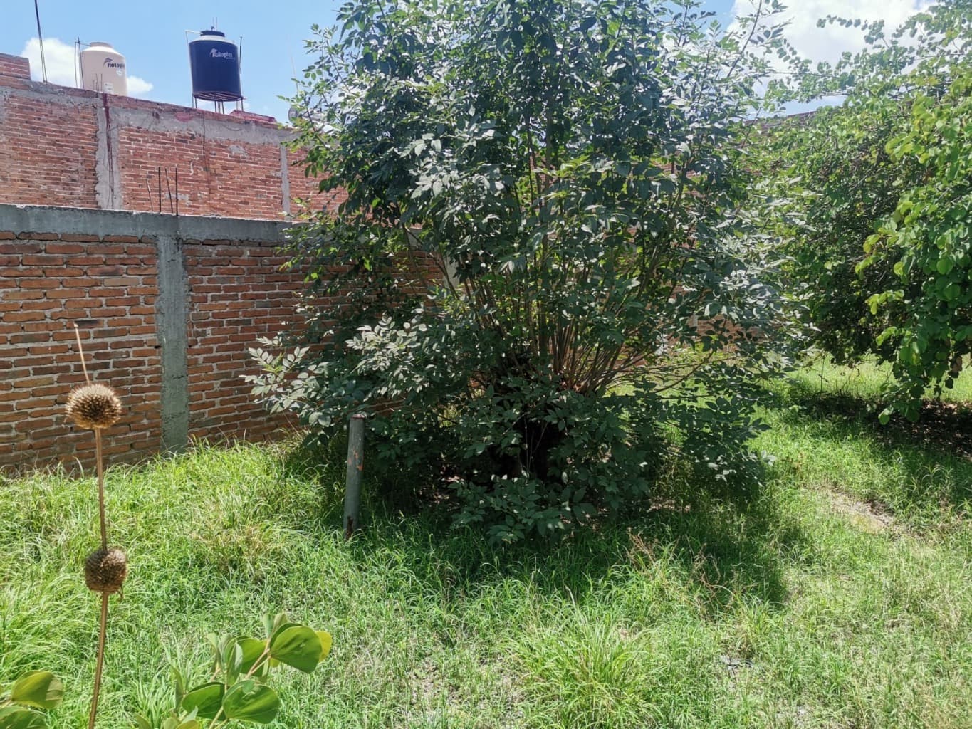image-1