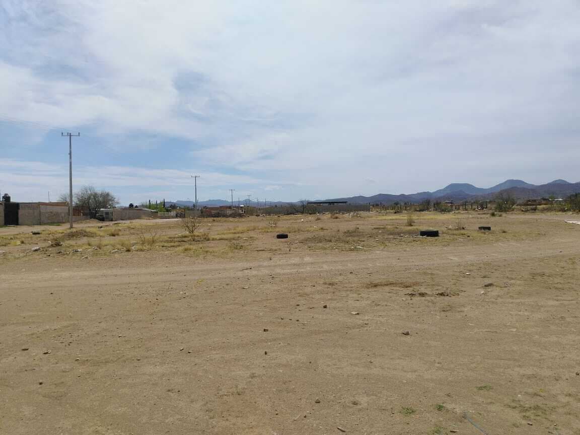 image-0