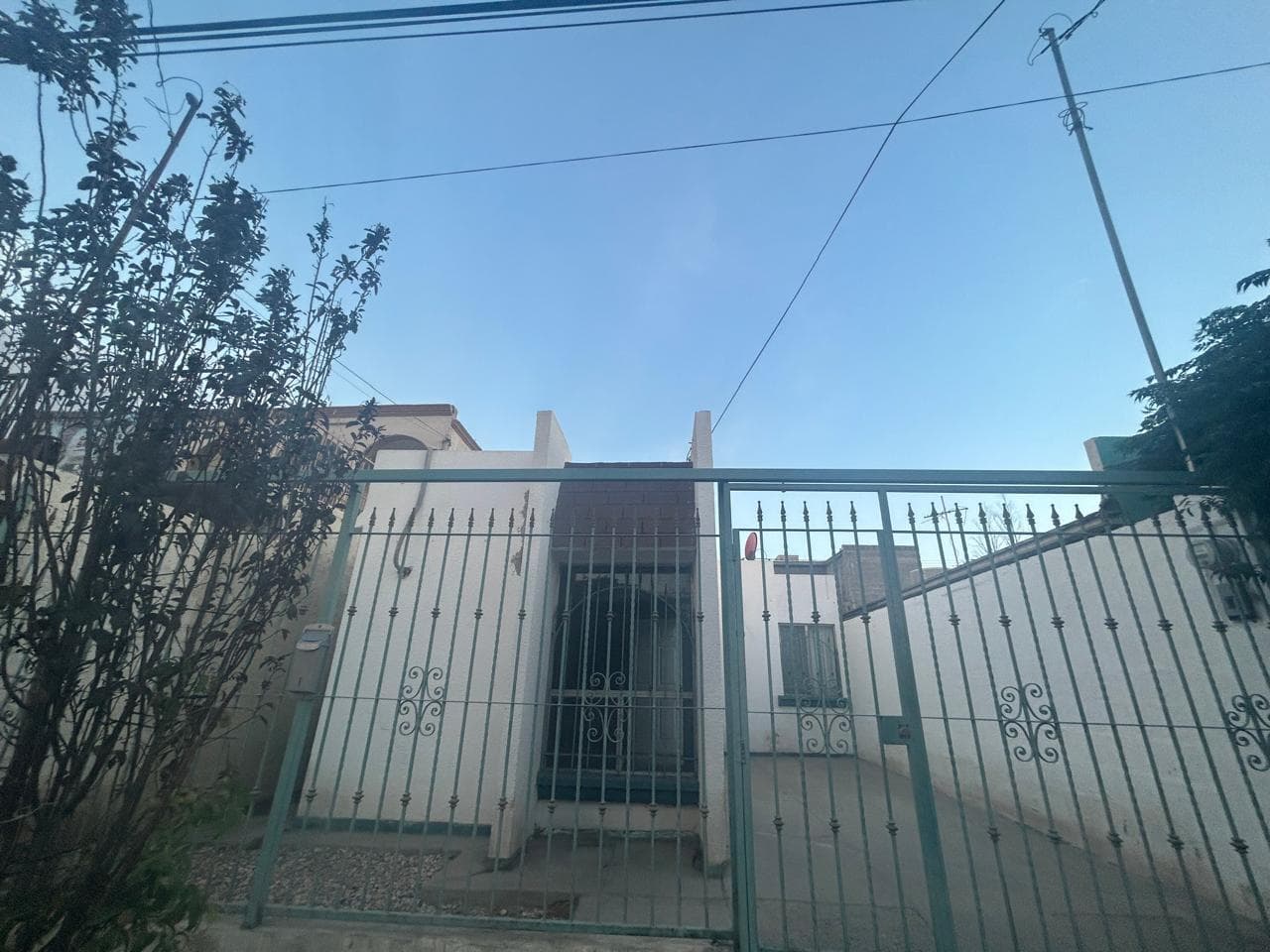 image-0
