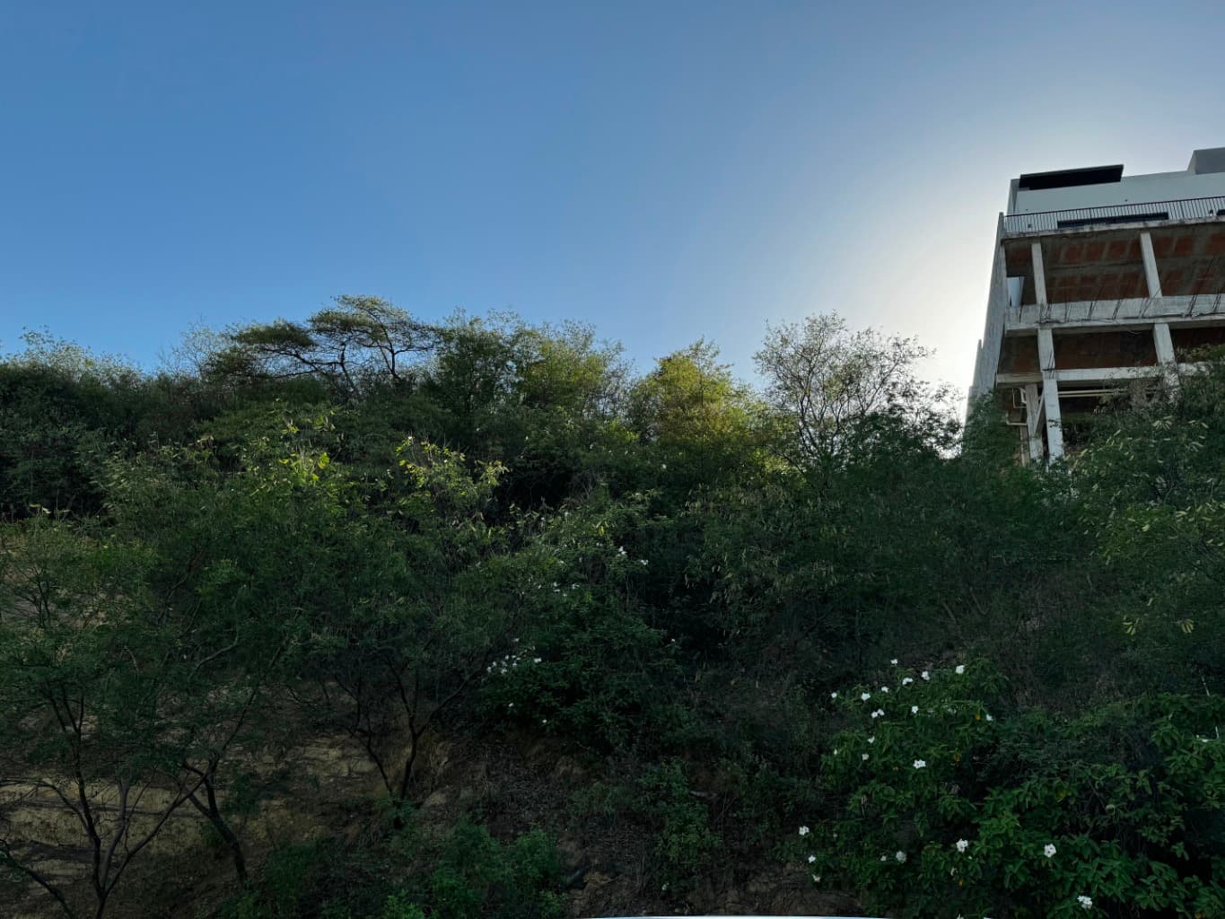 image-4