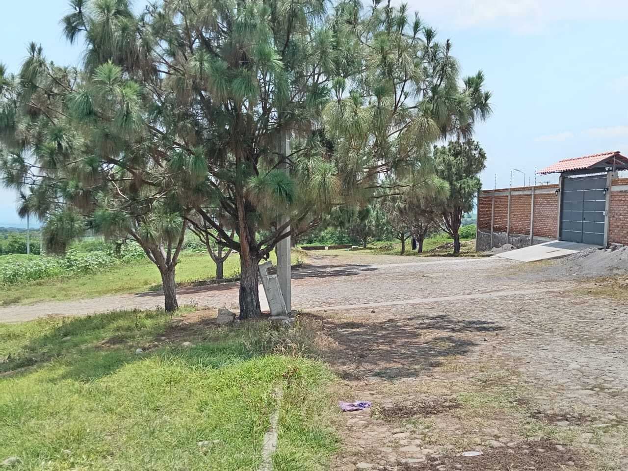 image-2
