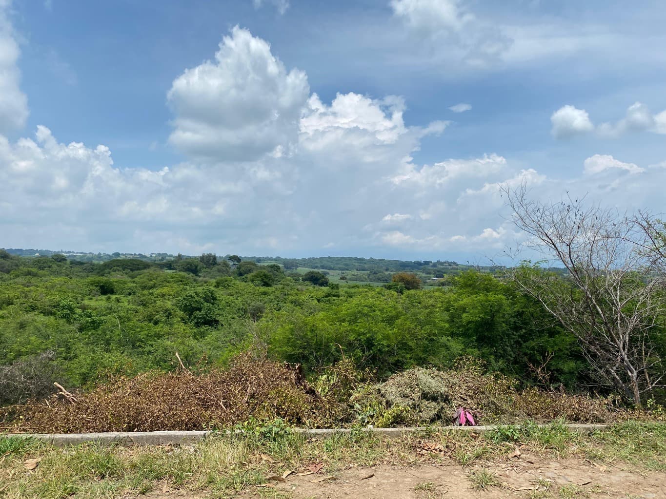 image-16