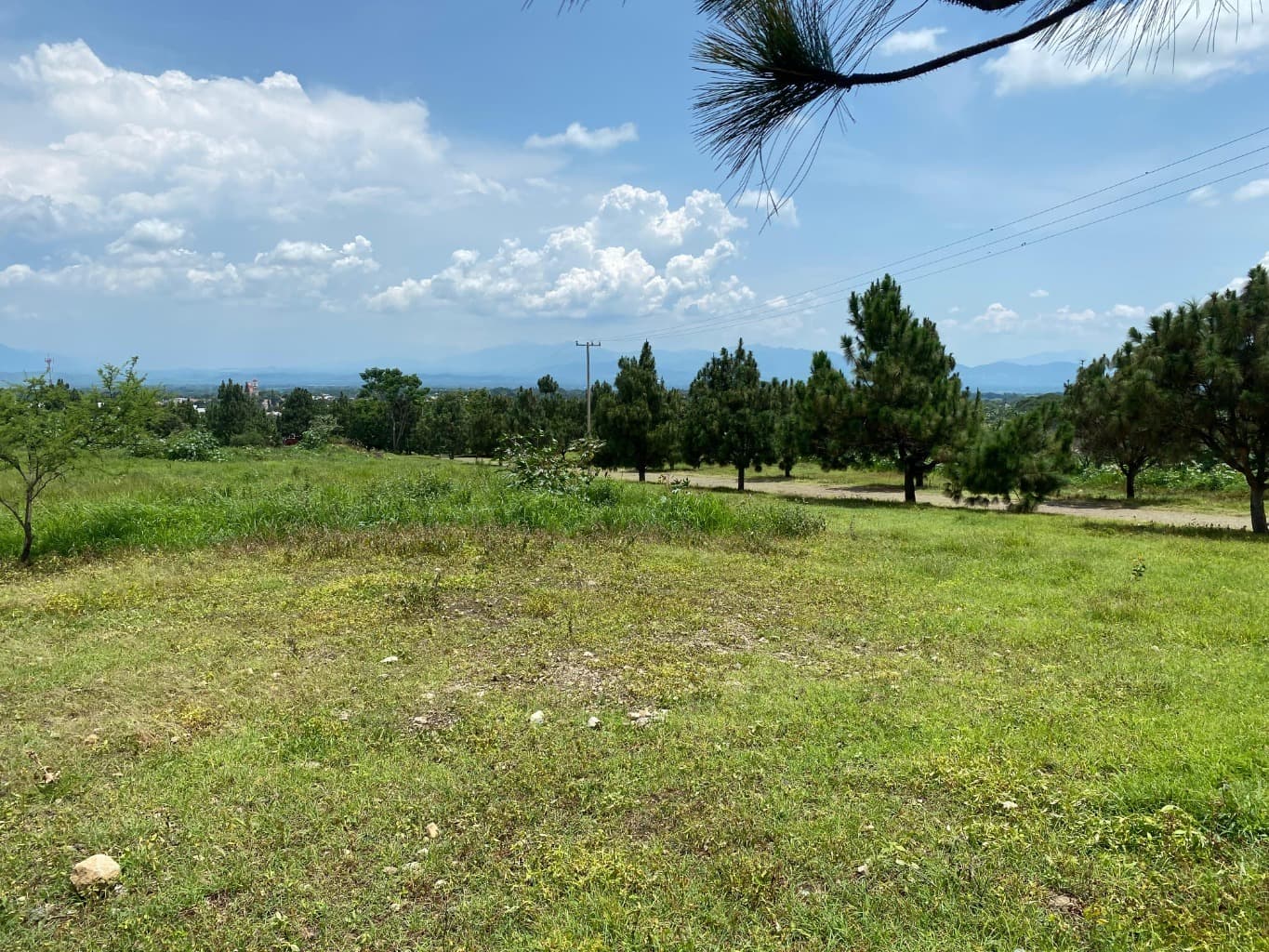 image-11