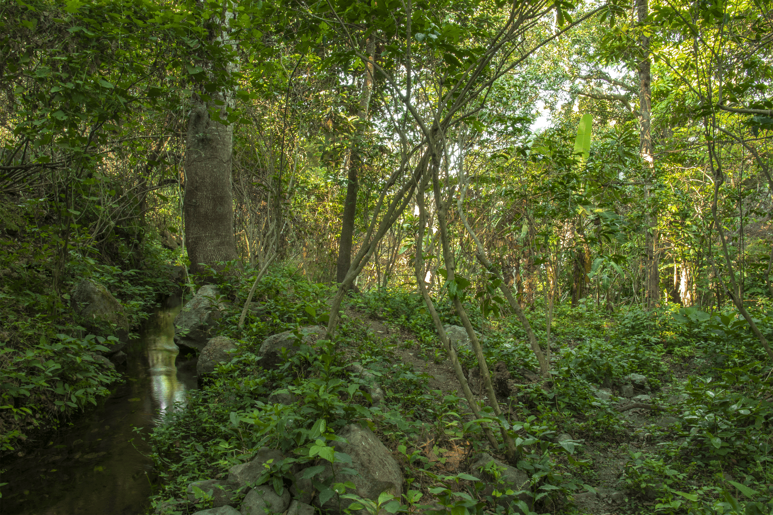 image-4