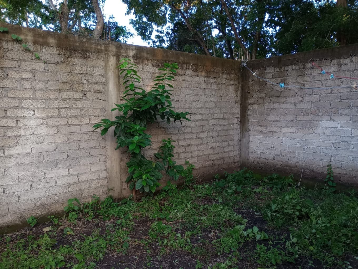 image-6