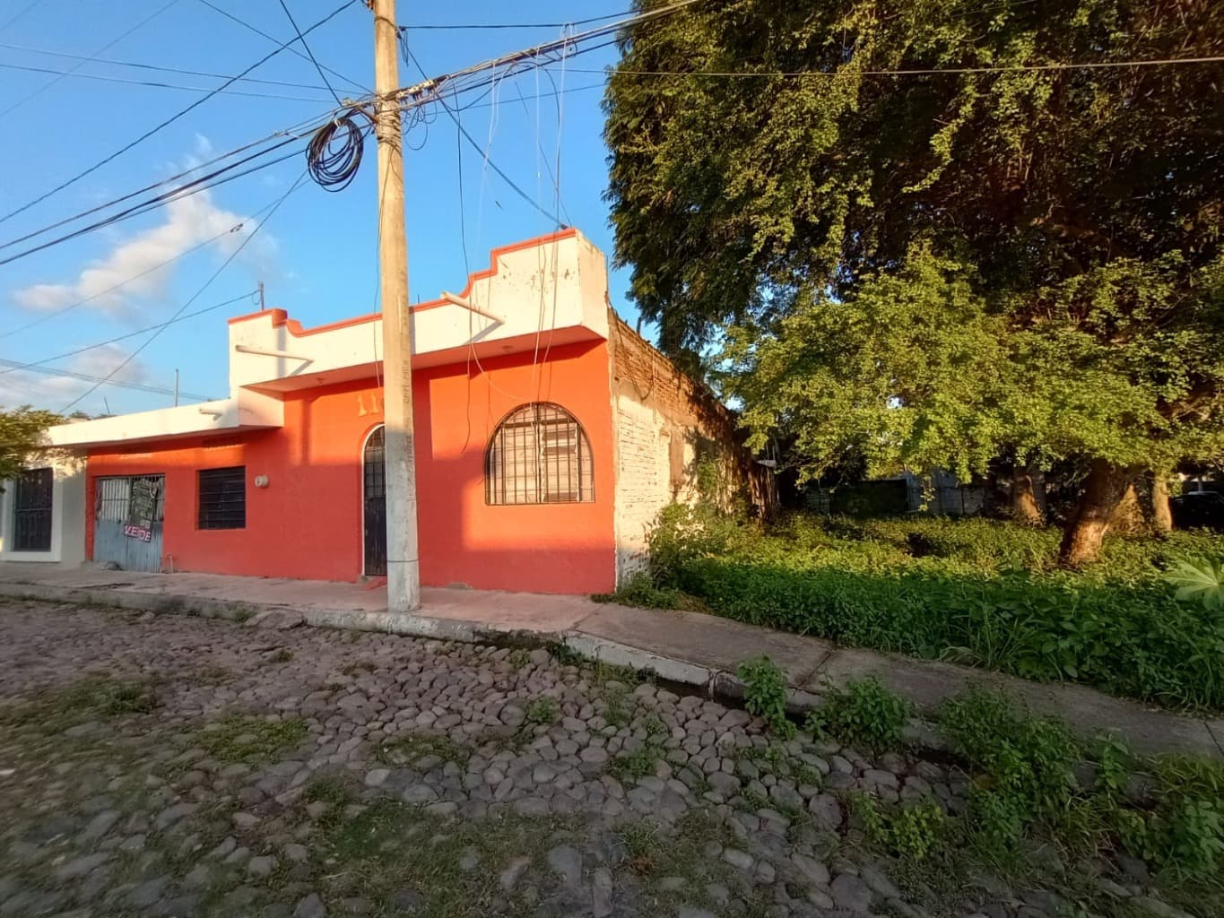 image-2