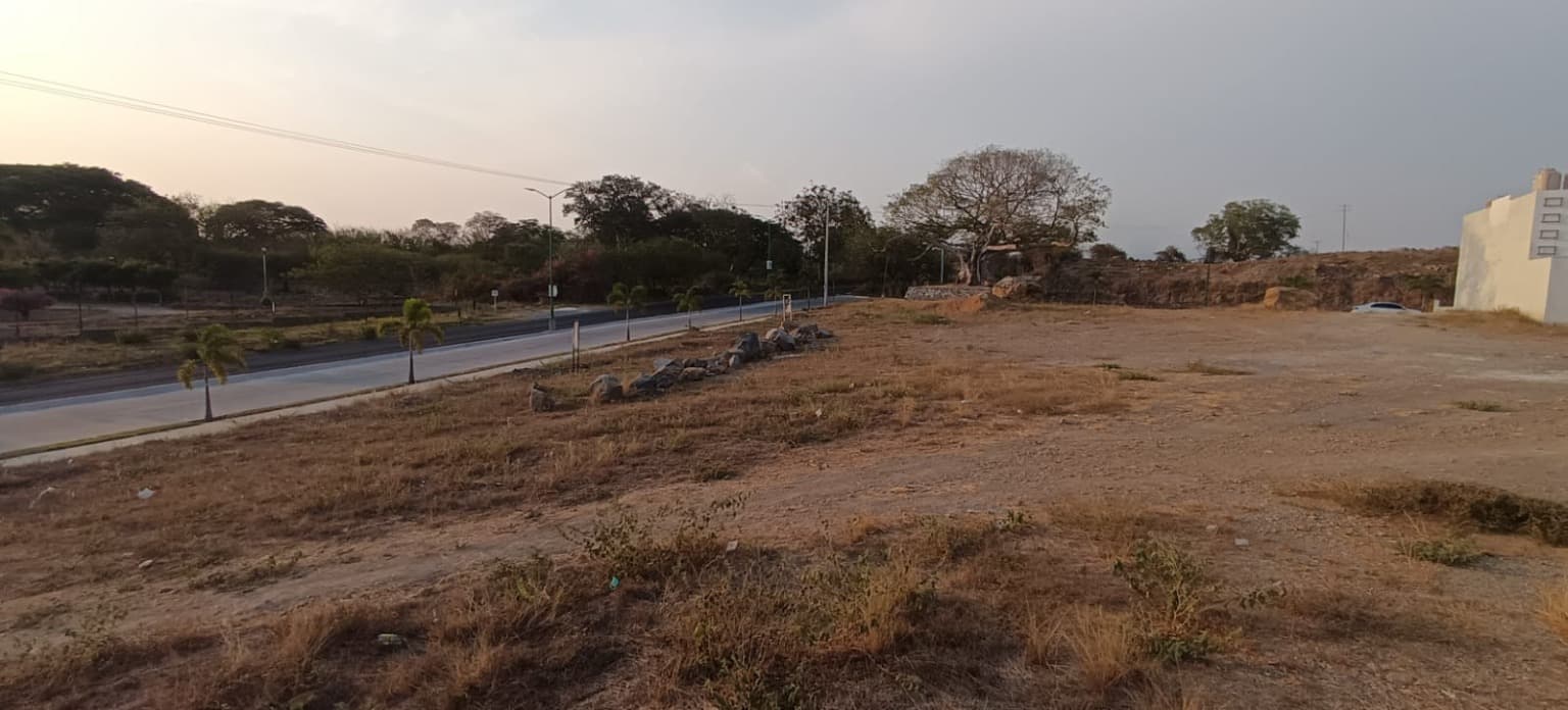 image-2