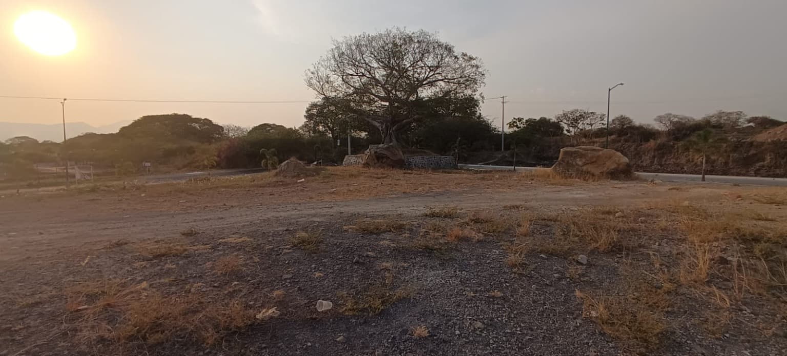 image-7