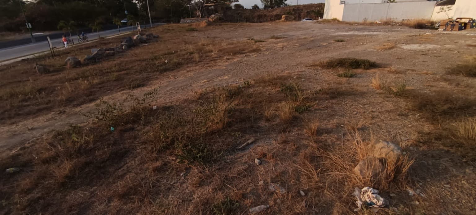 image-5