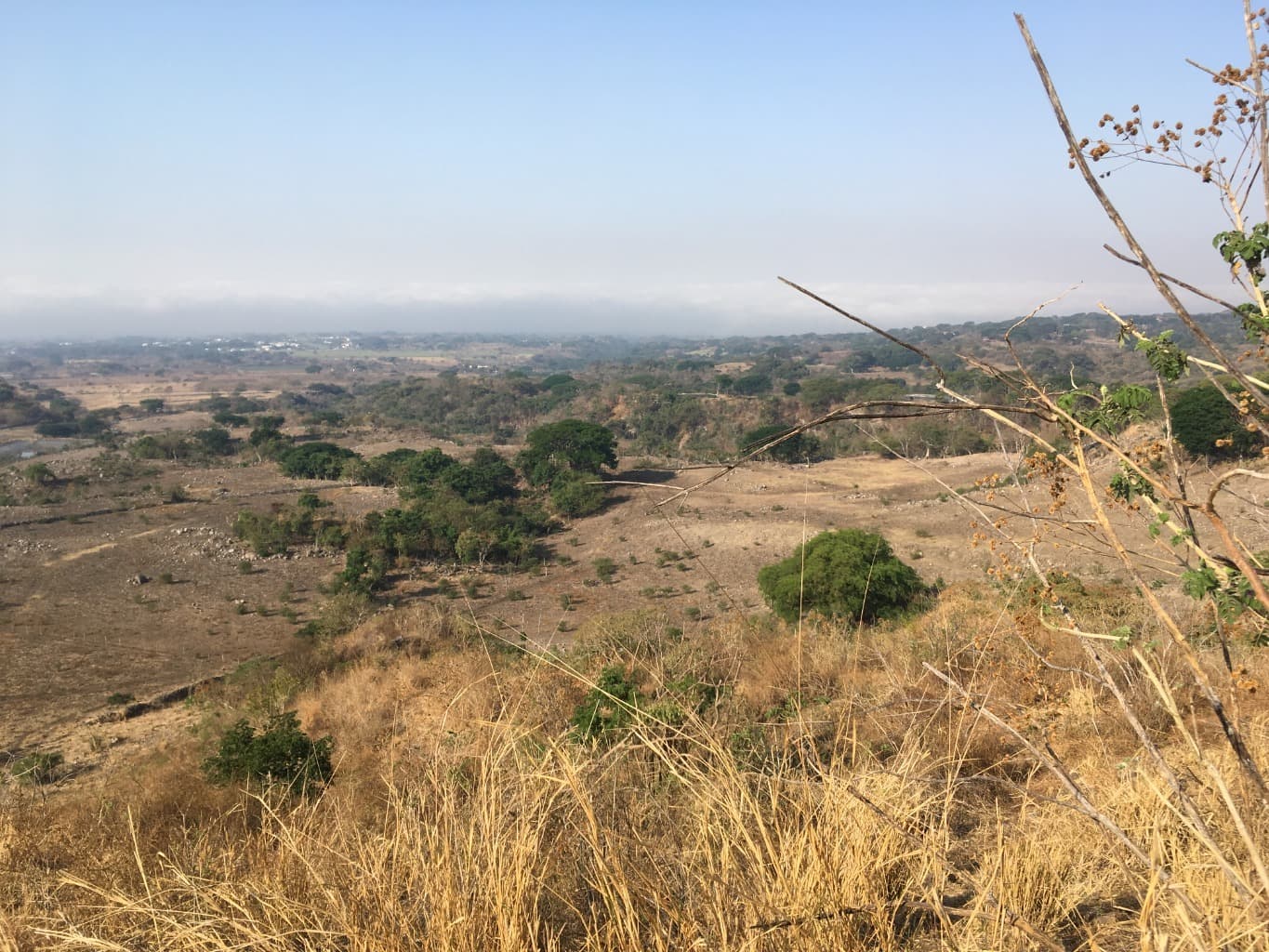 image-11