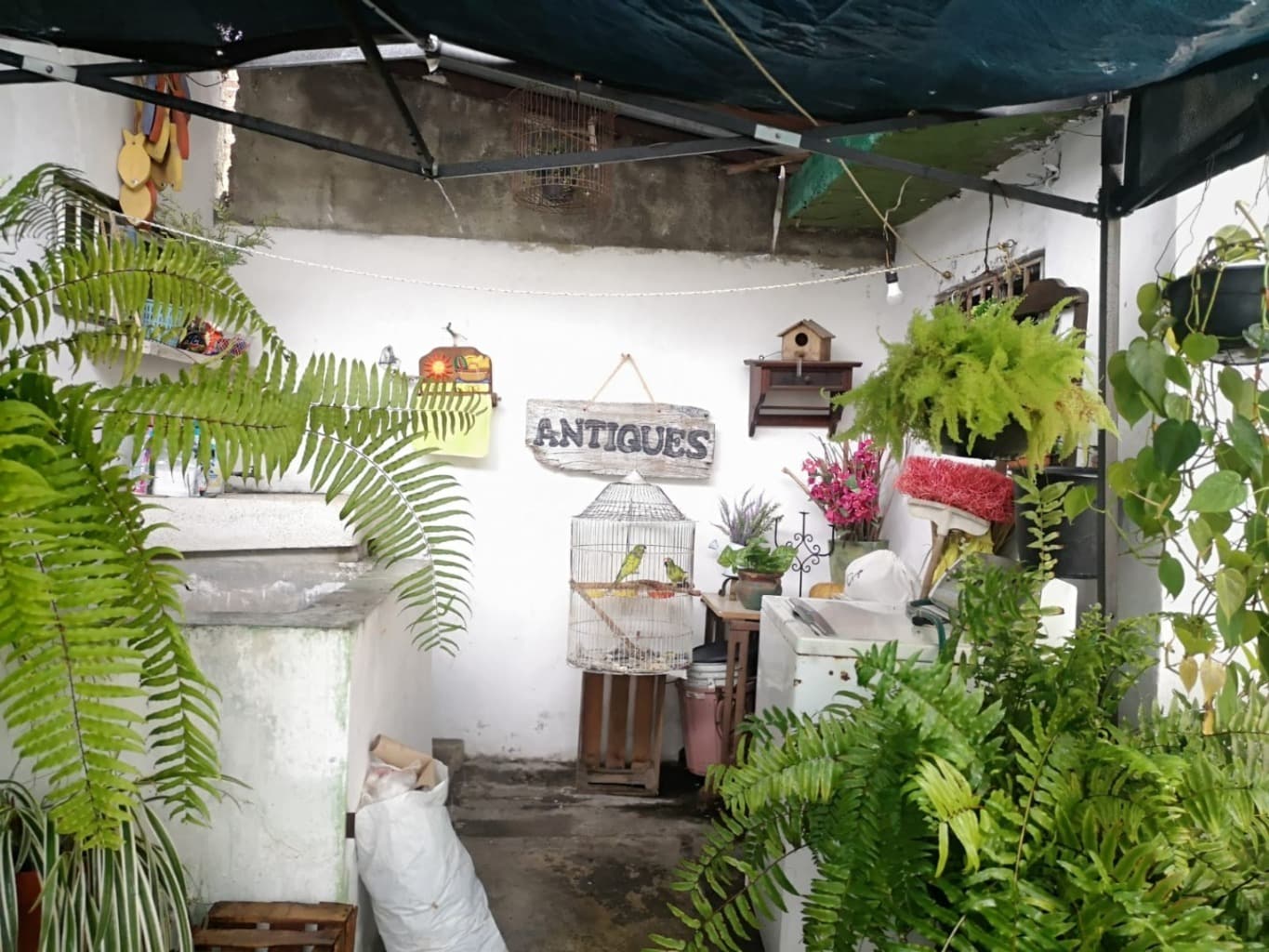 image-8