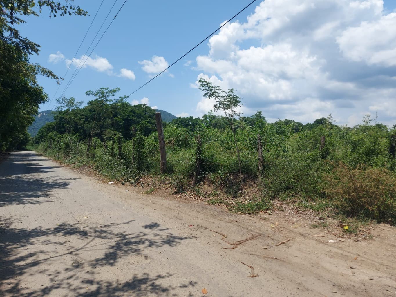 image-9