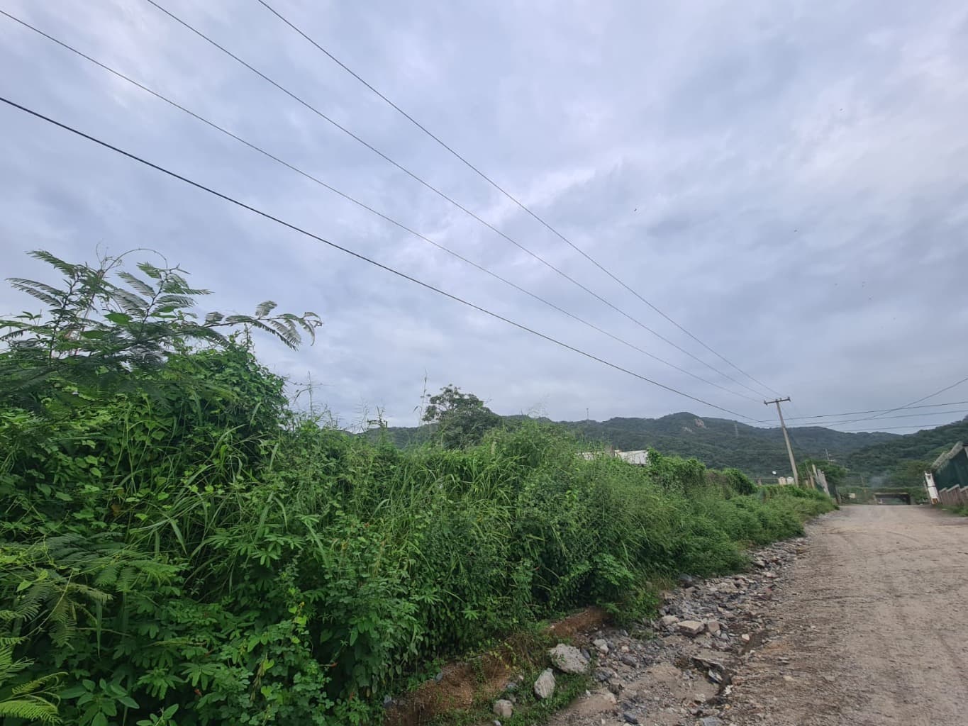 image-5