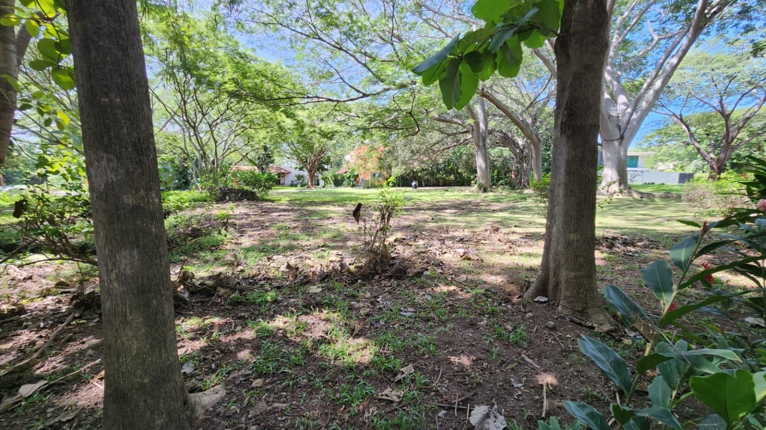 image-5