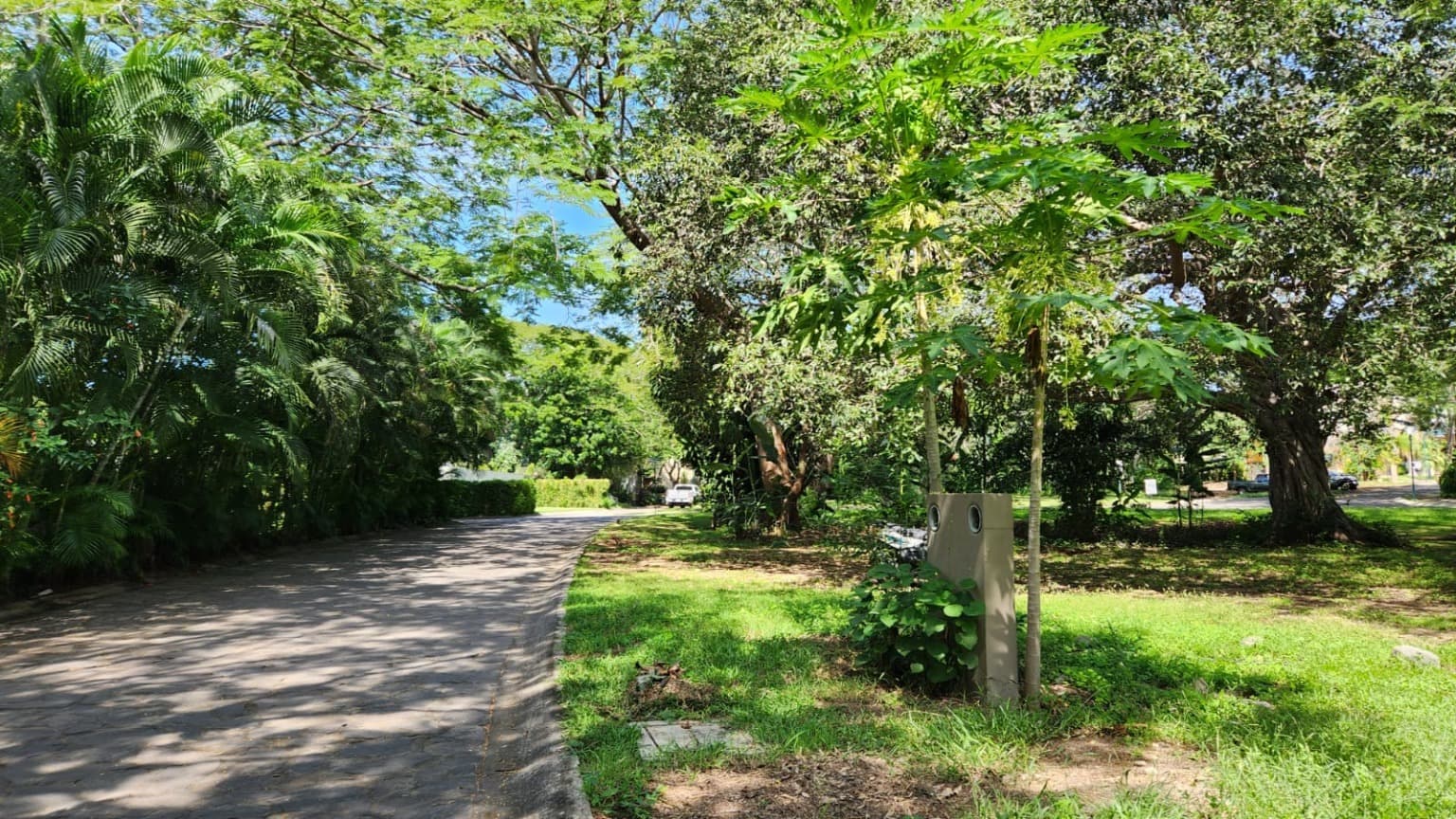 image-7