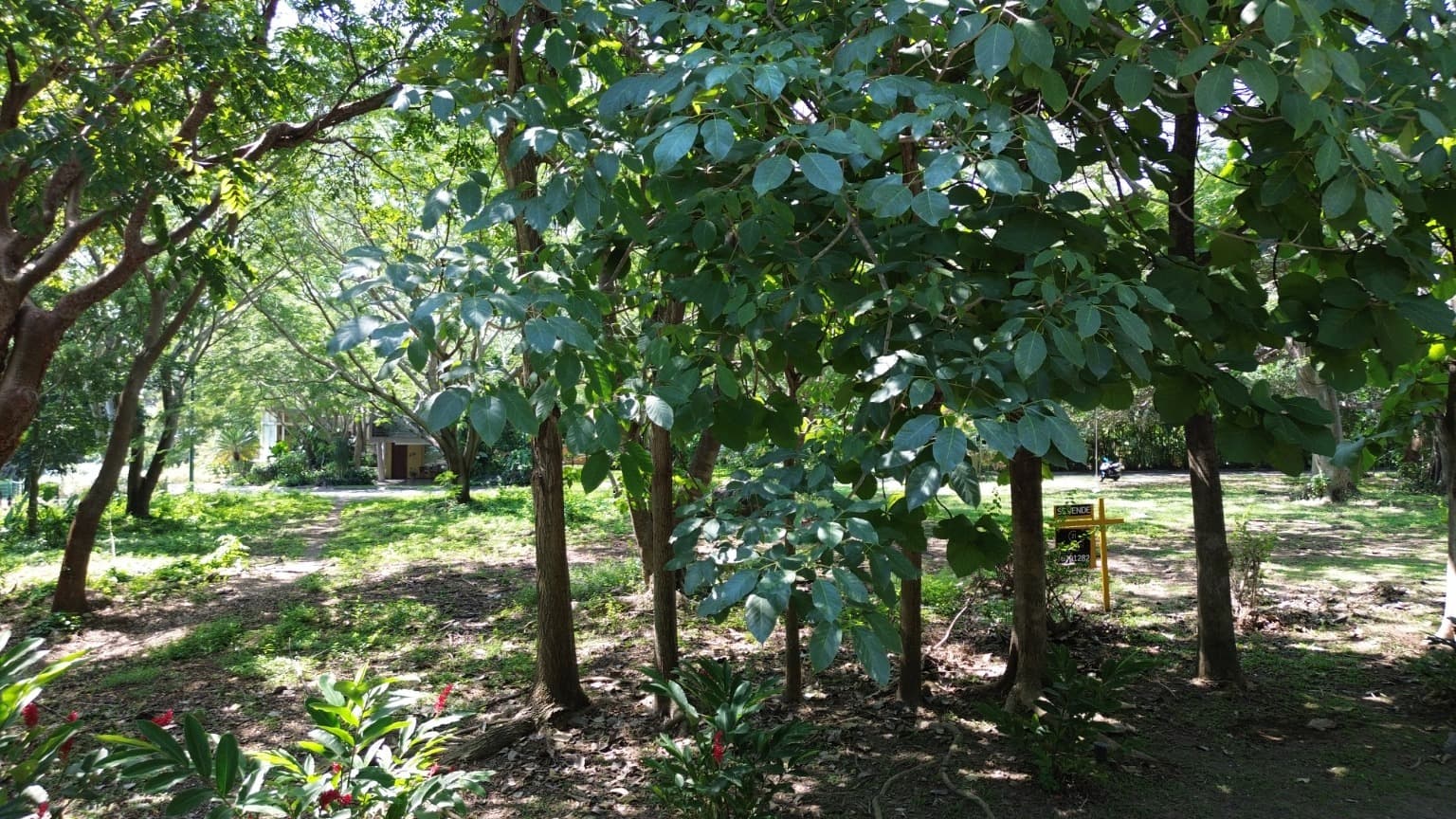 image-18
