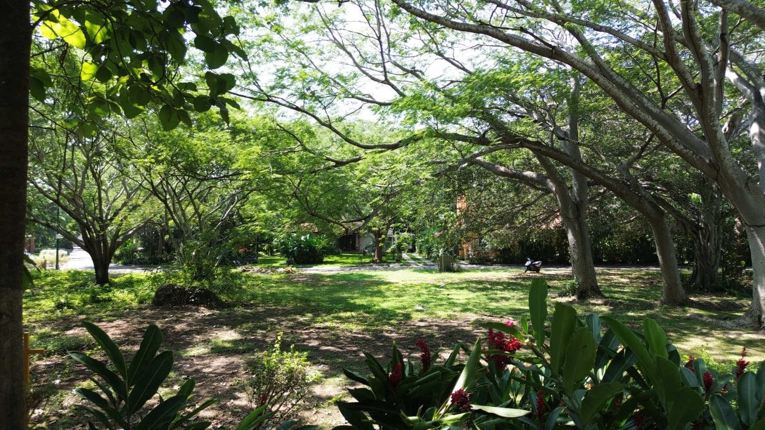 image-19