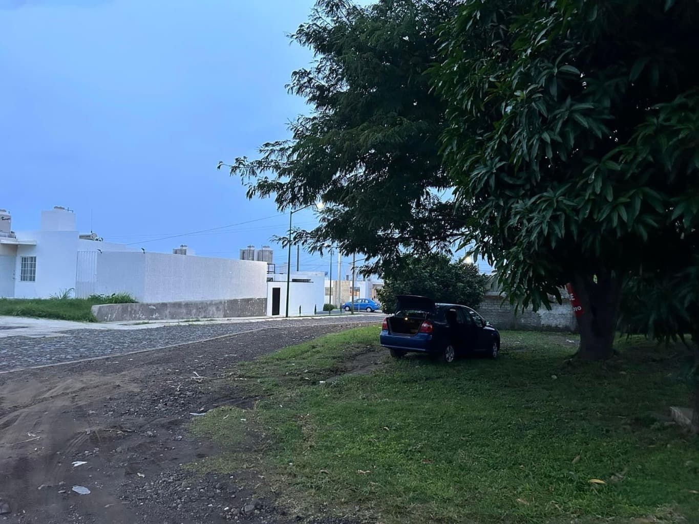 image-6