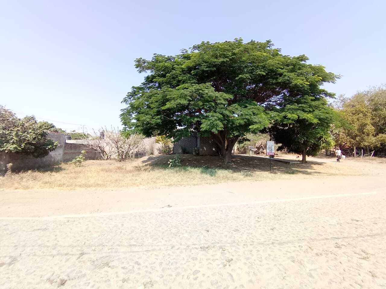 image-14