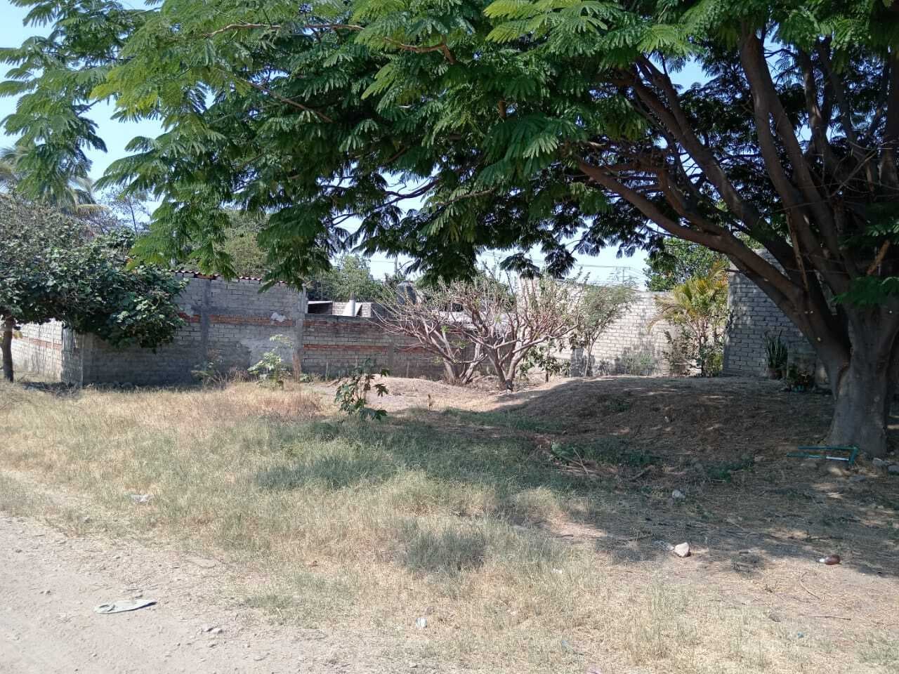 image-0