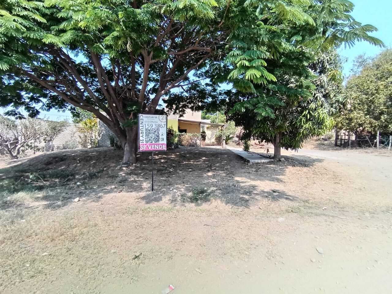 image-7